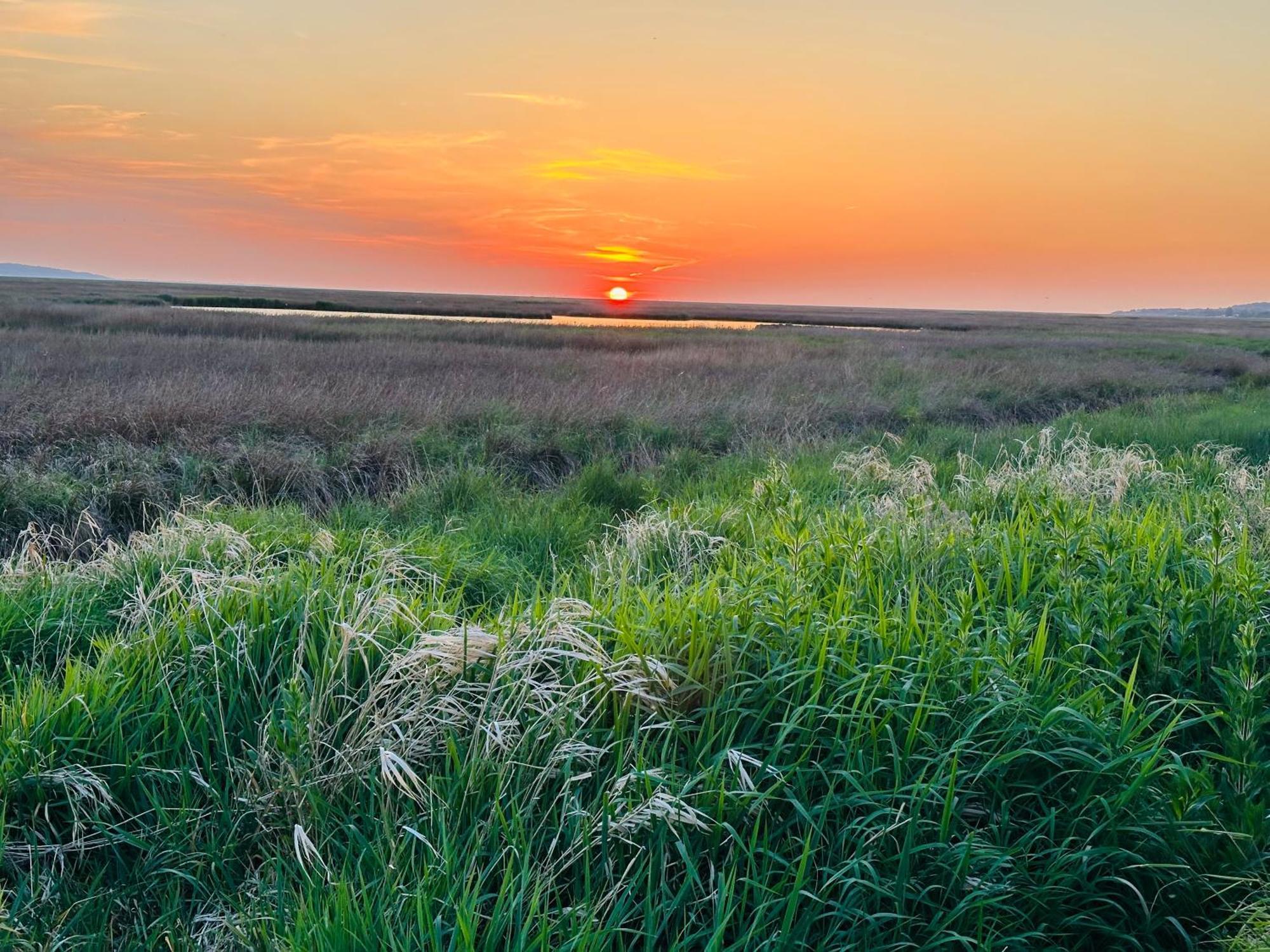 The Rambler'S Rest Cottage, Parkgate, Wirral Parkgate  Buitenkant foto